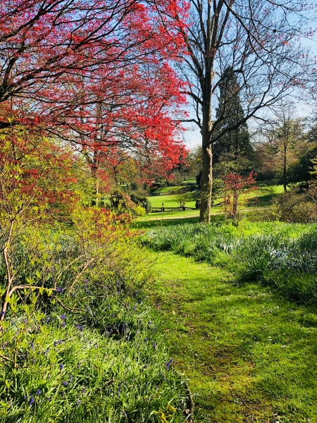 Englefield House Garden